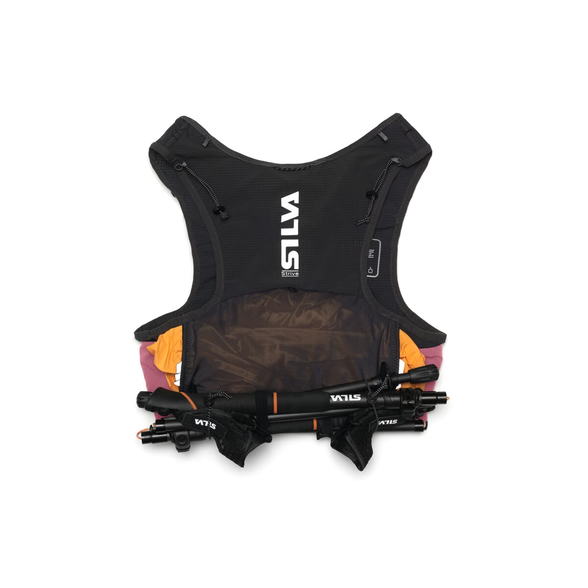 Vesta SILVA Strive Fly Rose